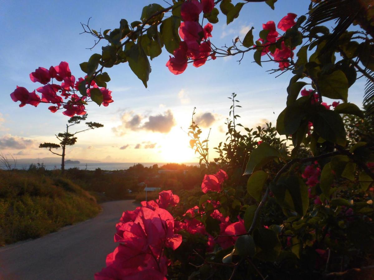 ซากูระ รีสอร์ต โฮเต็ล อิชิงากิ Hotel Ishigaki  ภายนอก รูปภาพ